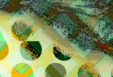 C31